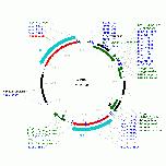 Expression Image