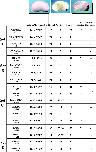 Expression Image