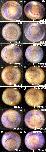Expression Image