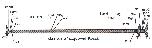 Xenopus clone image