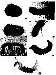 Expression Image