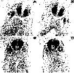 Expression Image